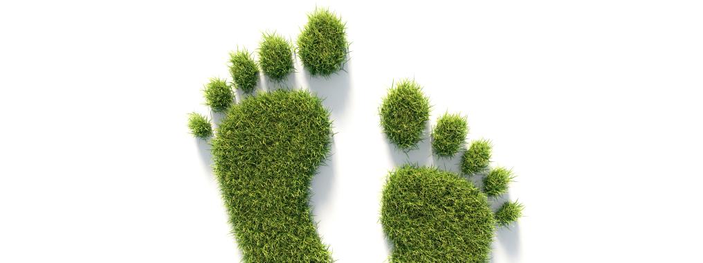 Thrive by strategically navigating EU sustainability rules