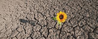 Disclosure, risk management and the capital market – How can listed companies improve their ESG competence?