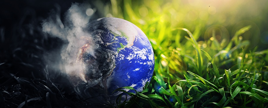 Carbon offsets: how your business can benefit